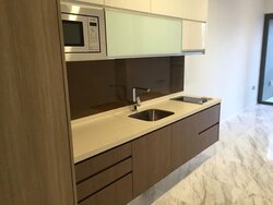 The Viridian (D12), Apartment #456401951